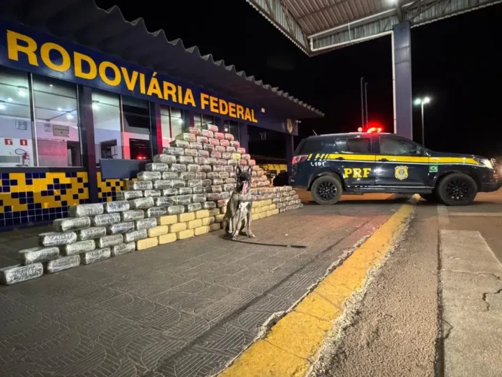 PRF apreende mais de meia tonelada de skunk escondidos em fundo falso de caminhão