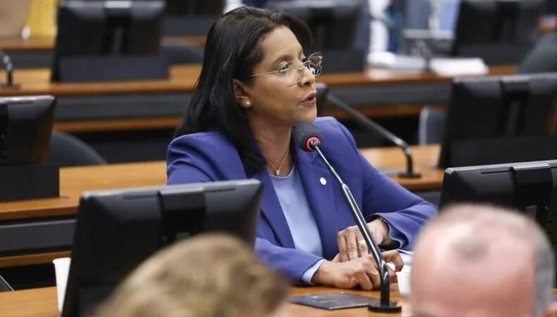 Deputada critica PL que abranda punições à empresas e diz que consumidor pode pagar a conta