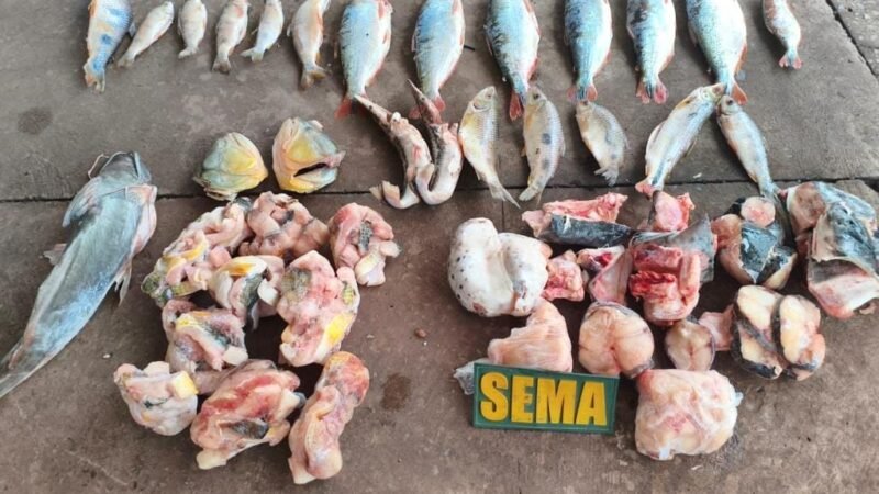 Fiscalização apreende pescado irregular em estabelecimento às margens do rio Cuiabá