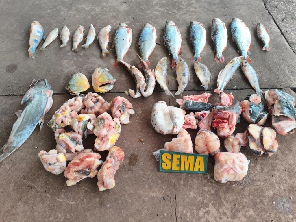 Fiscalização apreende pescado irregular em estabelecimento às margens do rio Cuiabá