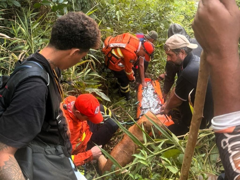 Bombeiros resgatam mulher com vida após oito dias perdida em área de mata