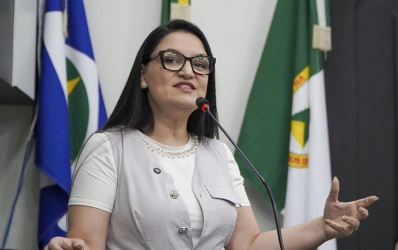 Samantha nega divisão entre vereadoras e elogia condução de Paula na Câmara