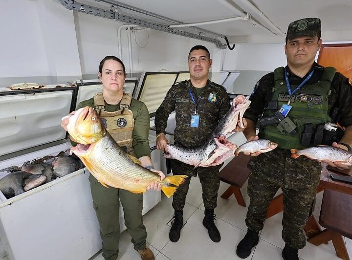 Operação conjunta com Juizado Ambiental apreende quase uma tonelada de pescado irregular