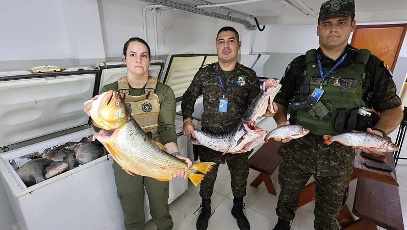 Operação conjunta com Juizado Ambiental apreende quase uma tonelada de pescado irregular
