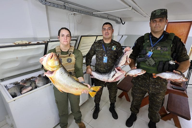 Operação conjunta com Juizado Ambiental apreende quase uma tonelada de pescado irregular
