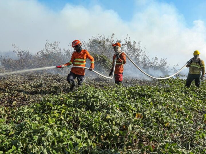 Bombeiros divulgam resultado da análise de títulos  para brigadistas temporários