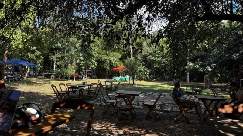 Edição especial da Feira no Museu de História Natural terá “arraiá junino” neste domingo