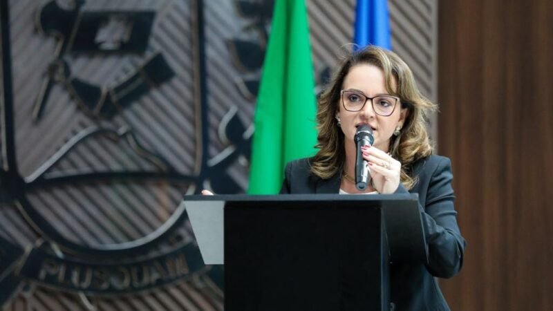 “MT tem a estratégia mais consistente de regularização ambiental”, diz secretária