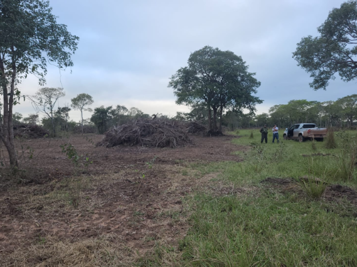 Batalhão Ambiental aplica multa em quase R$ 130 mil por desmatamento irregular