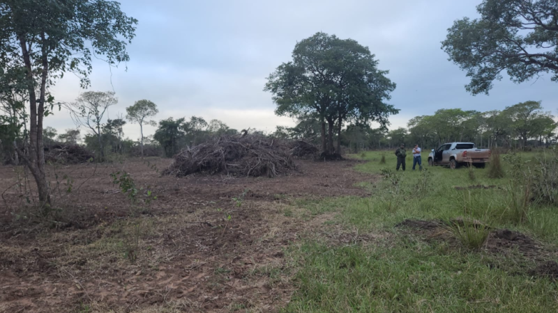 Batalhão Ambiental aplica multa em quase R$ 130 mil por desmatamento irregular