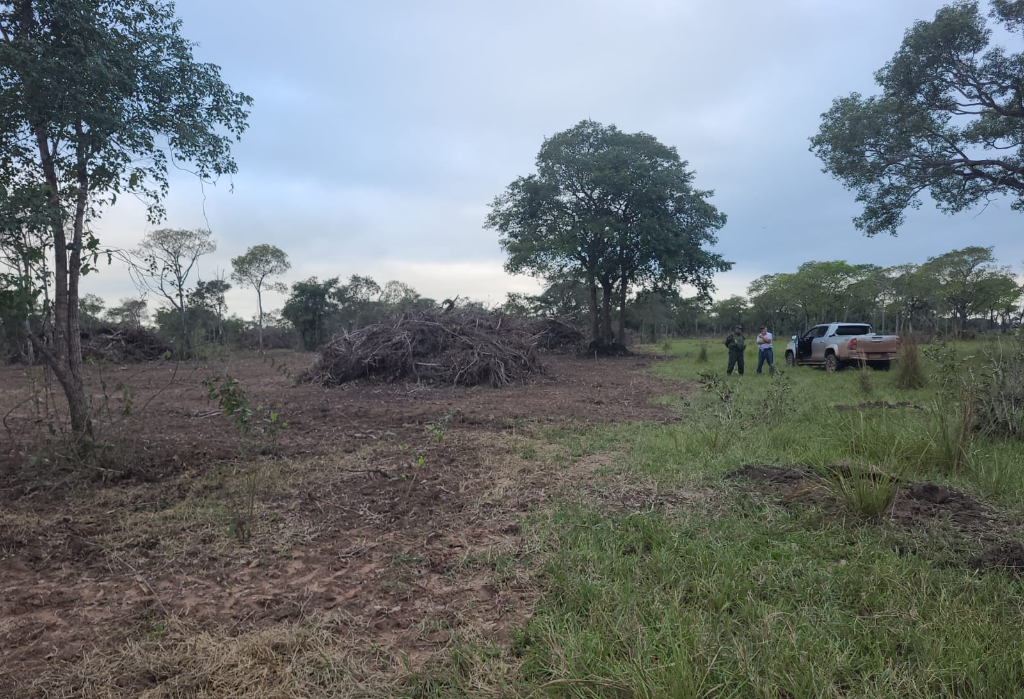 Batalhão Ambiental aplica multa em quase R$ 130 mil por desmatamento irregular