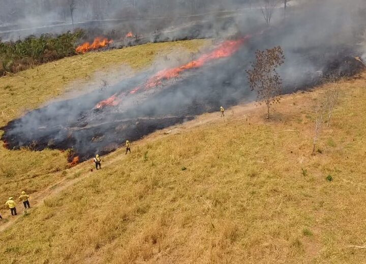 MPF pede plano emergencial e R$ 109 milhões em indenizações à Energisa por incêndio em MT