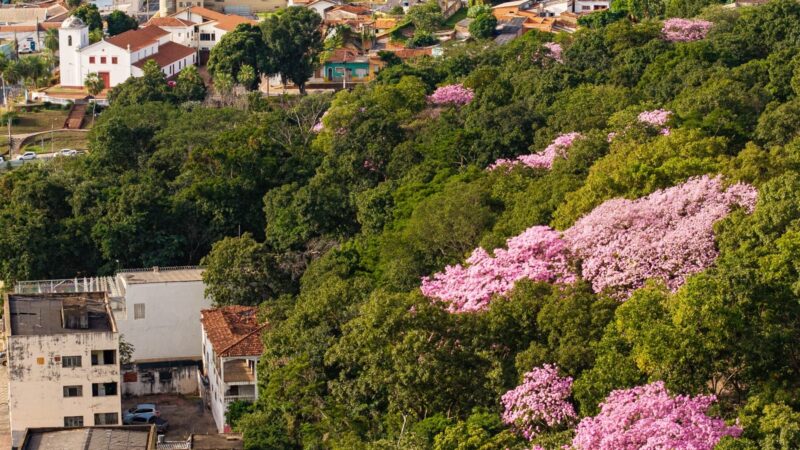 Cuiabá é habilitada pela Sema e poderá ampliar atuação no licenciamento ambiental
