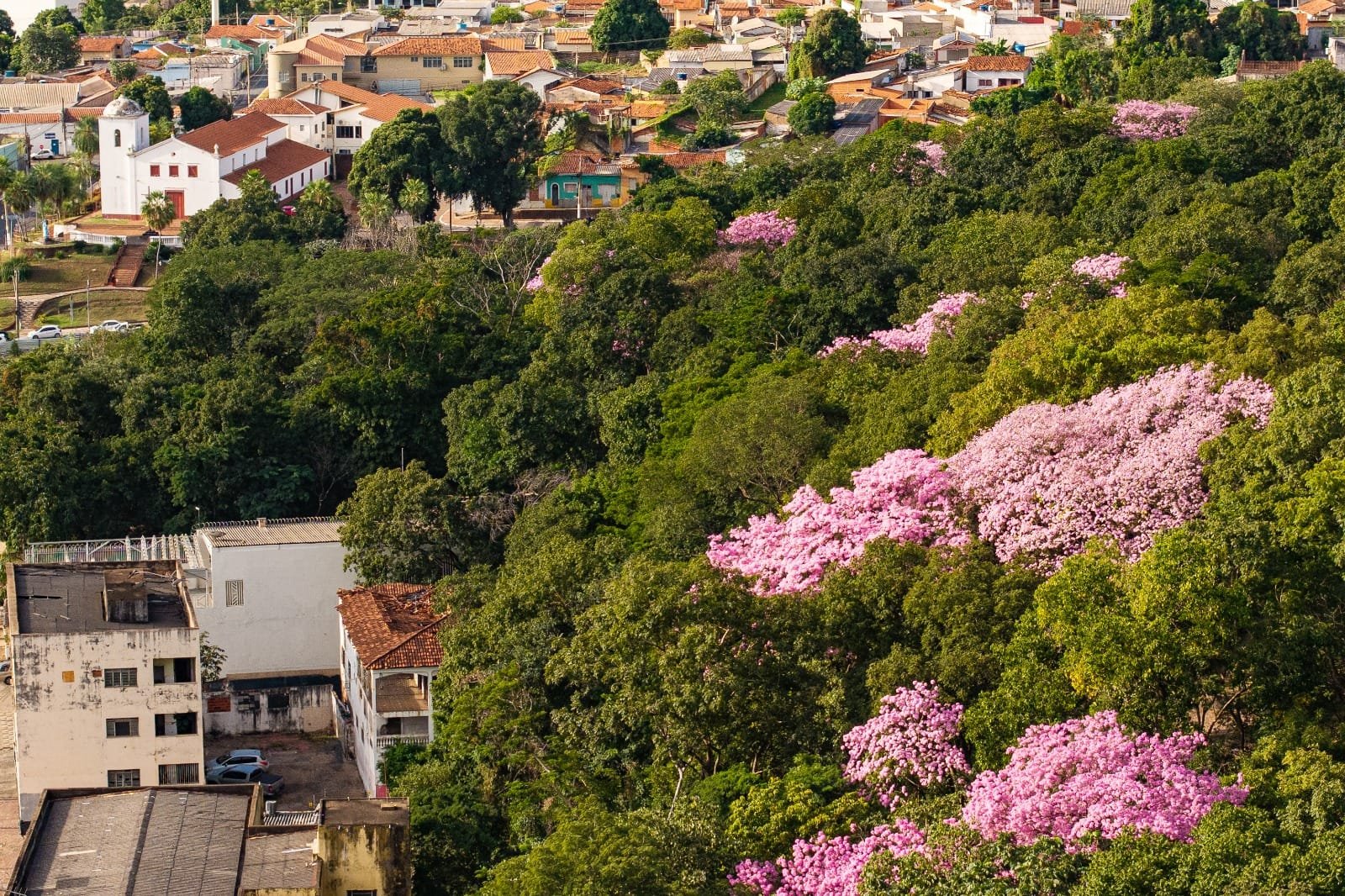 Cuiabá é habilitada pela Sema e poderá ampliar atuação no licenciamento ambiental