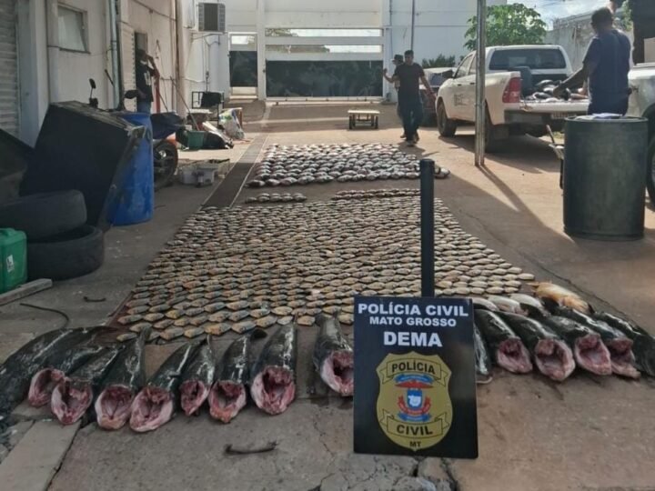 PC apreende mais de 900 kg de pescado irregular e derruba  esquema de pesca predatória