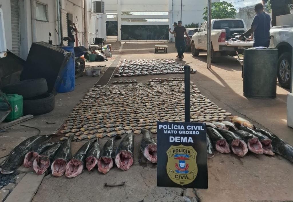PC apreende mais de 900 kg de pescado irregular e derruba  esquema de pesca predatória