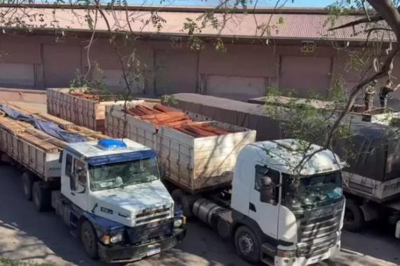 Cooperação internacional leva a apreensão de 130 toneladas de madeira com cocaína liquida