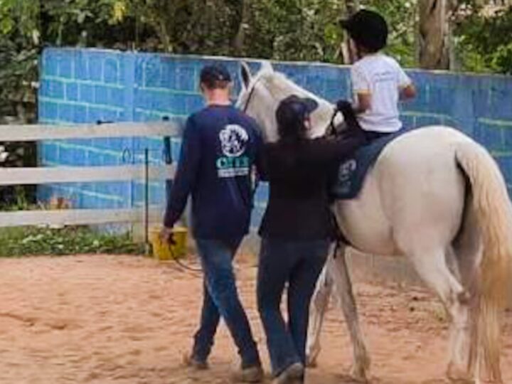 VG transforma equoterapia em política pública para pessoas com deficiência