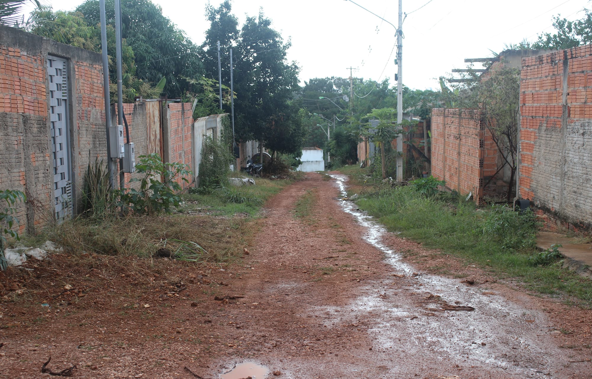 Proprietário abandona área por mais de 10 anos e Justiça nega despejar 60 famílias em Cuiabá
