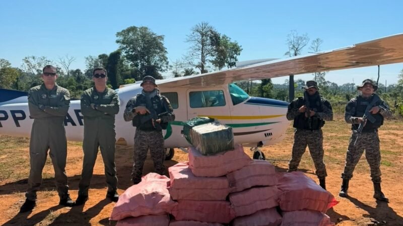 Operação em MT apreende meia tonelada de maconha em fazenda e prende três suspeitos