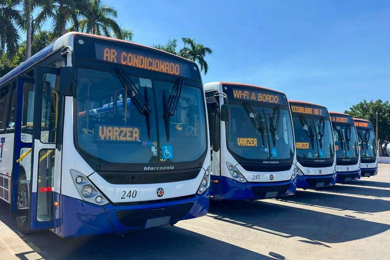 Nova linha 855 começa a operar na segunda-feira e amplia acesso ao transporte coletivo