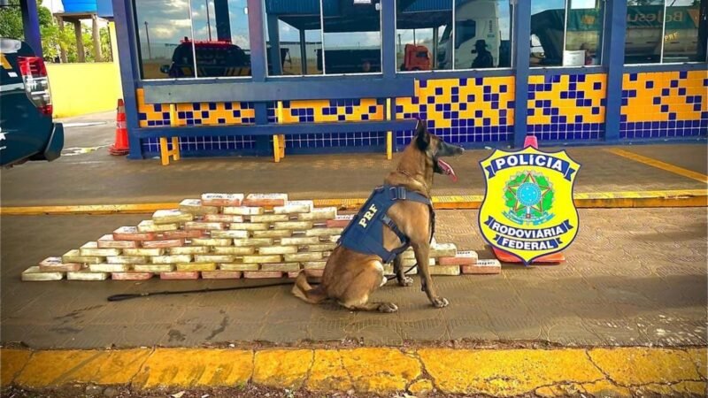 PRF apreende cerca de 70 quilos de cocaína na BR-364 e prendem dois traficantes