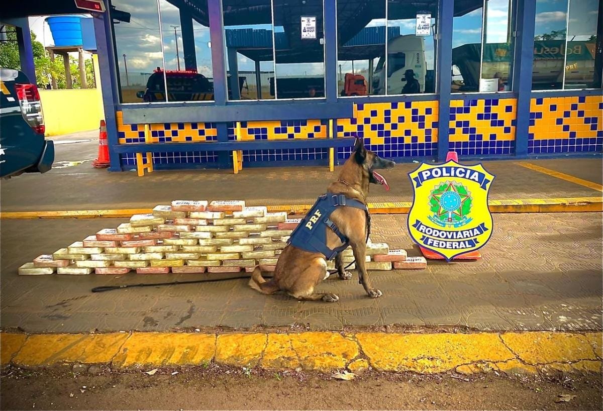 PRF apreende cerca de 70 quilos de cocaína na BR-364 e prendem dois traficantes