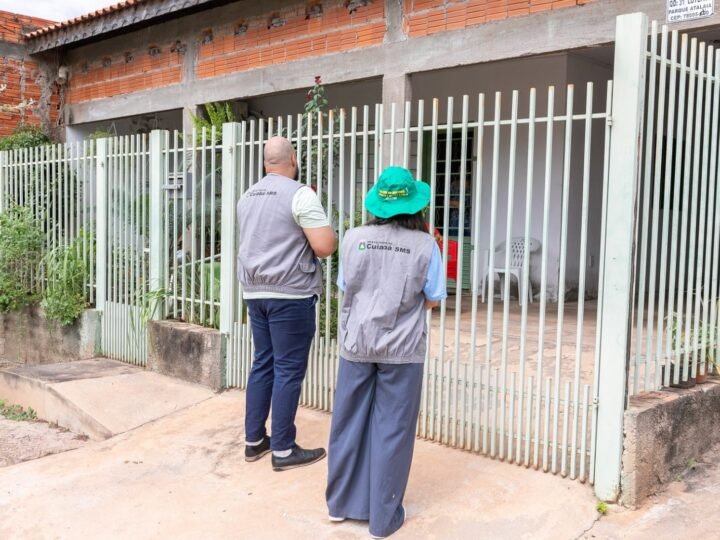 Levantamento aponta redução na média semanal de casos de dengue e chikungunya
