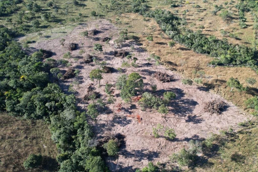 Área em região turística de MT é embargada após denúncia de desmatamento irregular
