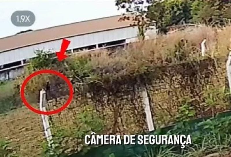 Prefeito pede que polícia identifique autor de incêndio que atingiu placas solares; vídeo