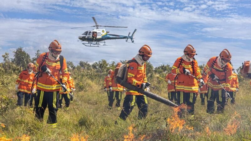 Período proibitivo de uso do fogo começa nesta quarta-feira; bombeiros alertam para estiagem