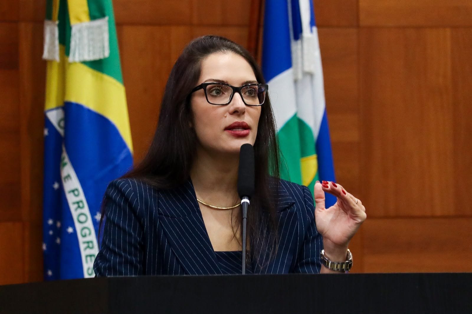 Janaina quer destravar licenças da mineração e defende parceria para acelerar obras na BR-163