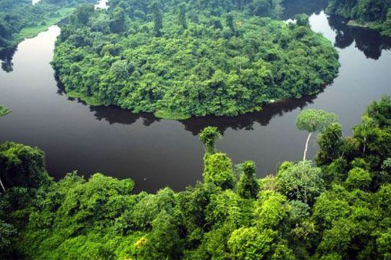 MPF tenta anular acordo que transfere terras públicas de parque a particulares em MT