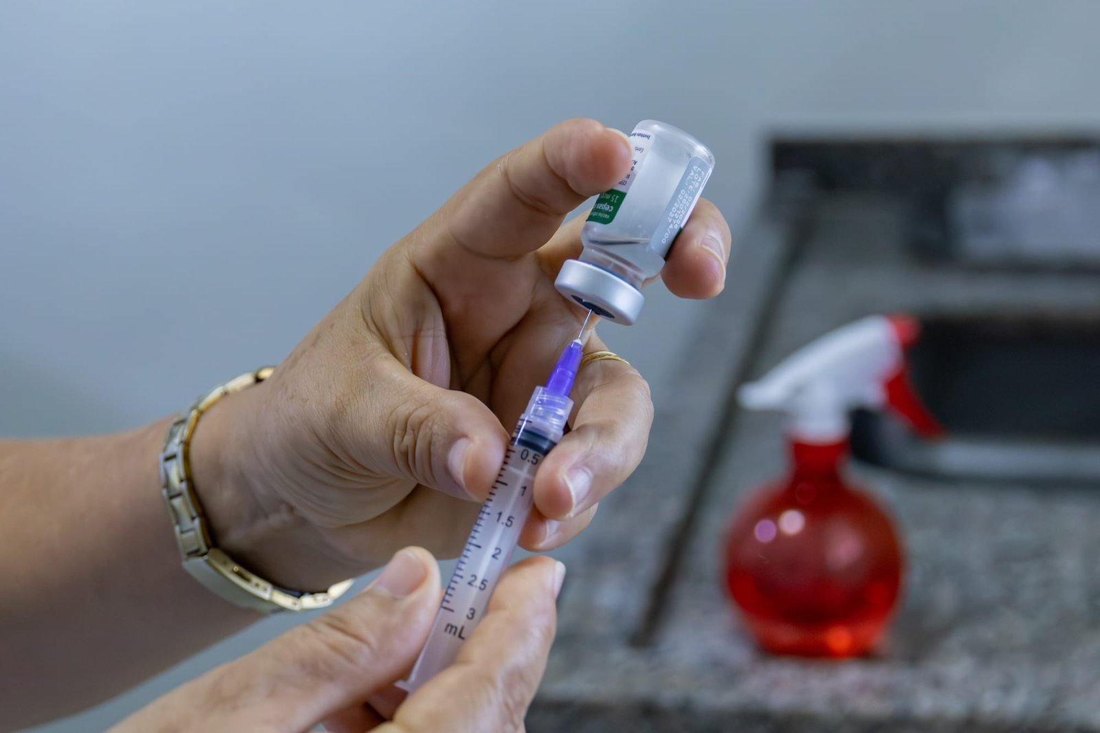 Cuiabá realiza Dia D com vacinação, avaliação bucal e antirrábica para cães e gatos