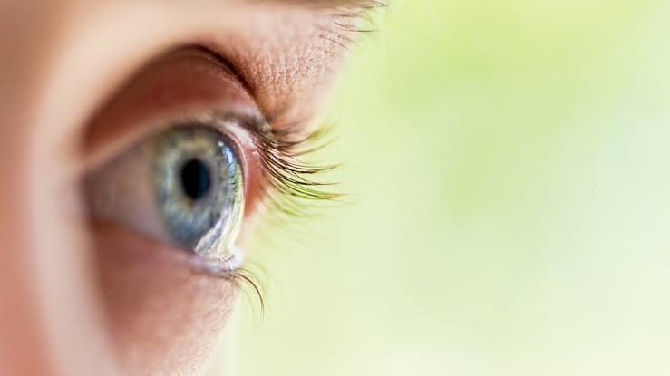 Doenças da retina podem causar perda irreversível da visão quando diagnóstico e tratamento chegam tarde