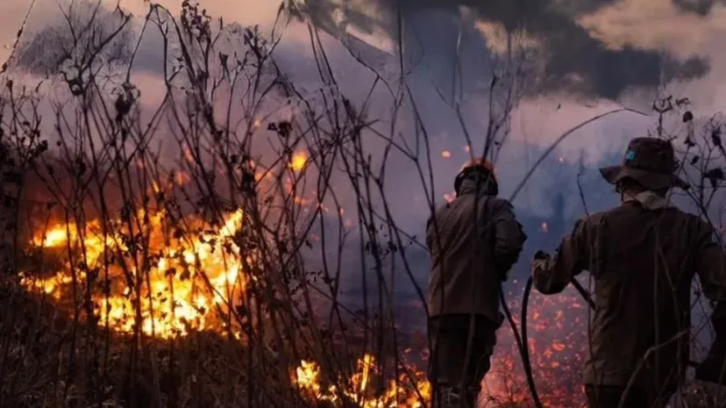 Corpo de Bombeiros combate 10 incêndios em áreas urbanas e 15 focos em terras indígenas