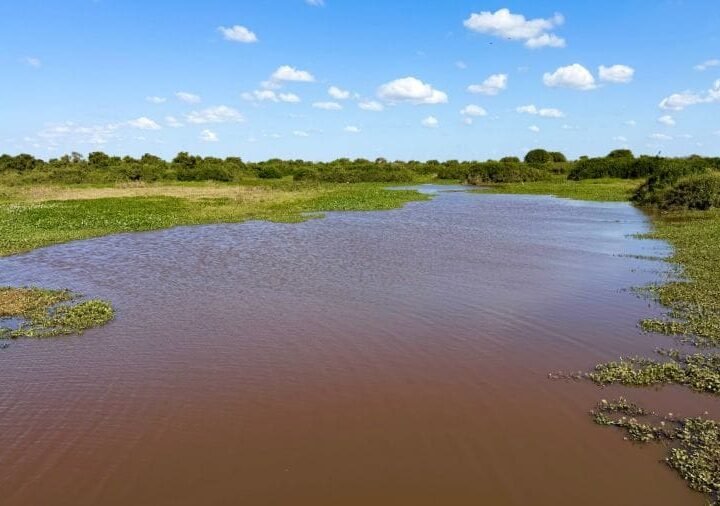MP cobra estudos sobre influência da Usina de Manso no agravamento da seca do Pantanal