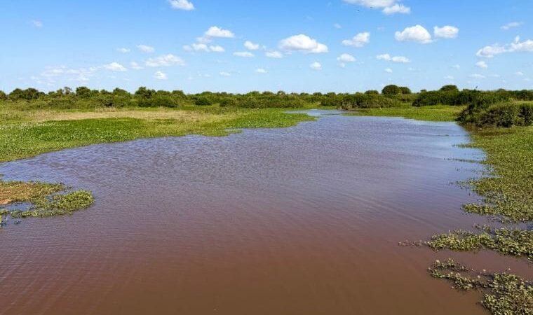 MP cobra estudos sobre influência da Usina de Manso no agravamento da seca do Pantanal