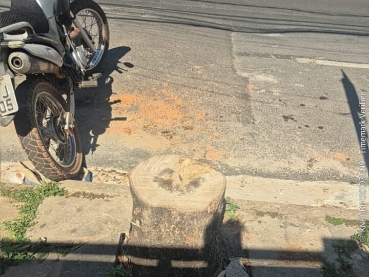 Prefeitura multa proprietário por corte irregular de árvores em Cuiabá