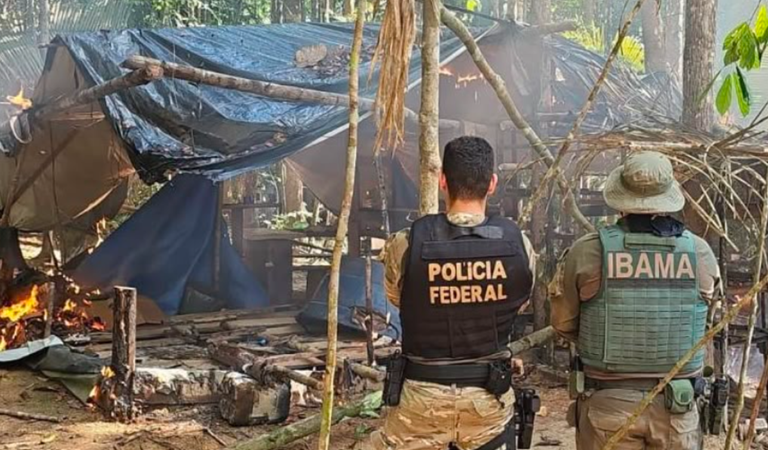PF e Ibama combatem garimpo ilegal em terra indígena em Mato Grosso e Rondônia