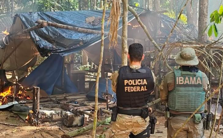 PF e Ibama combatem garimpo ilegal em terra indígena em Mato Grosso e Rondônia