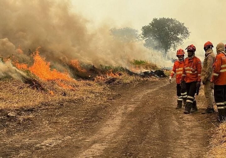 Corpo de Bombeiros combate 12 incêndios florestais em vários municípios de MT