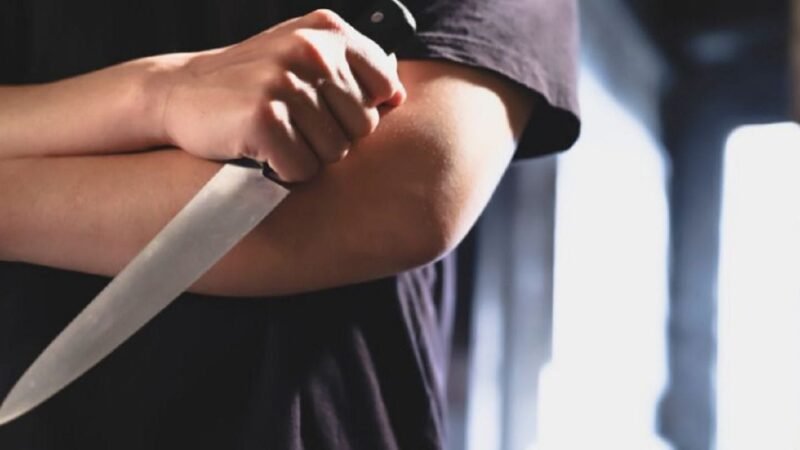 Mulher tenta matar marido dentro de galinheiro com facada no braço em MT