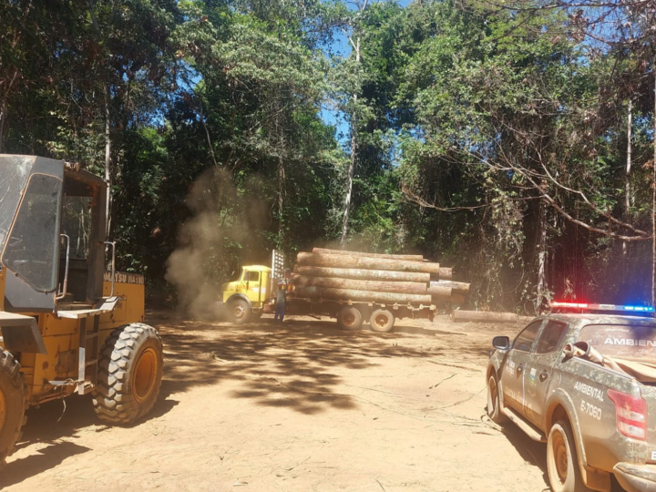 Operação flagra desmatamento ilegal de 1,2 mil hectares e aplica R$ 7,2 milhões em multas