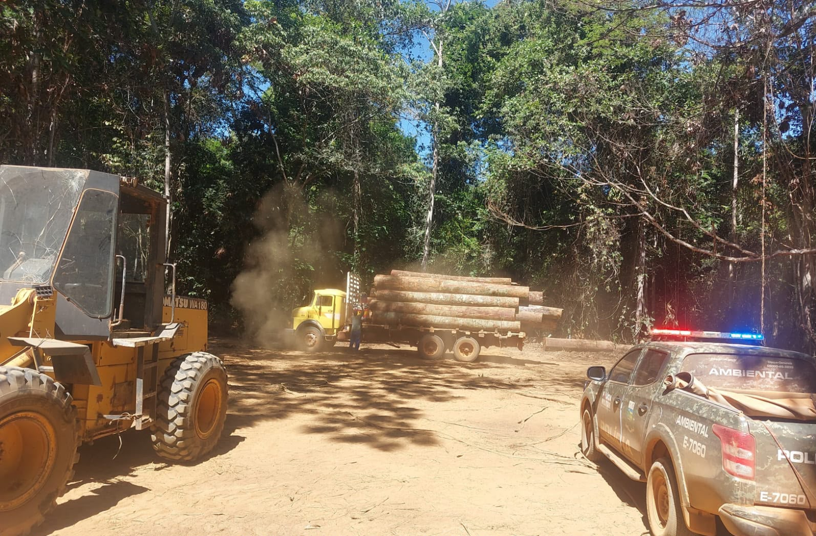 Operação flagra desmatamento ilegal de 1,2 mil hectares e aplica R$ 7,2 milhões em multas
