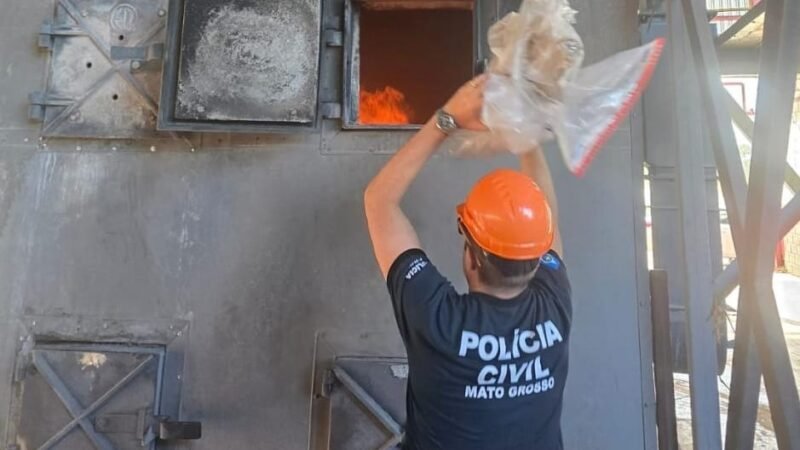 Polícia Civil incinera 102 quilos de drogas apreendidas em Santo Antônio do Leverger