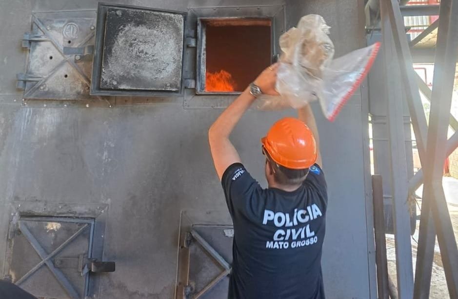 Polícia Civil incinera 102 quilos de drogas apreendidas em Santo Antônio do Leverger