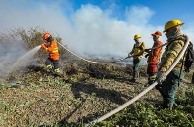 Bombeiros combatem três incêndios florestais em MT nesta segunda-feira