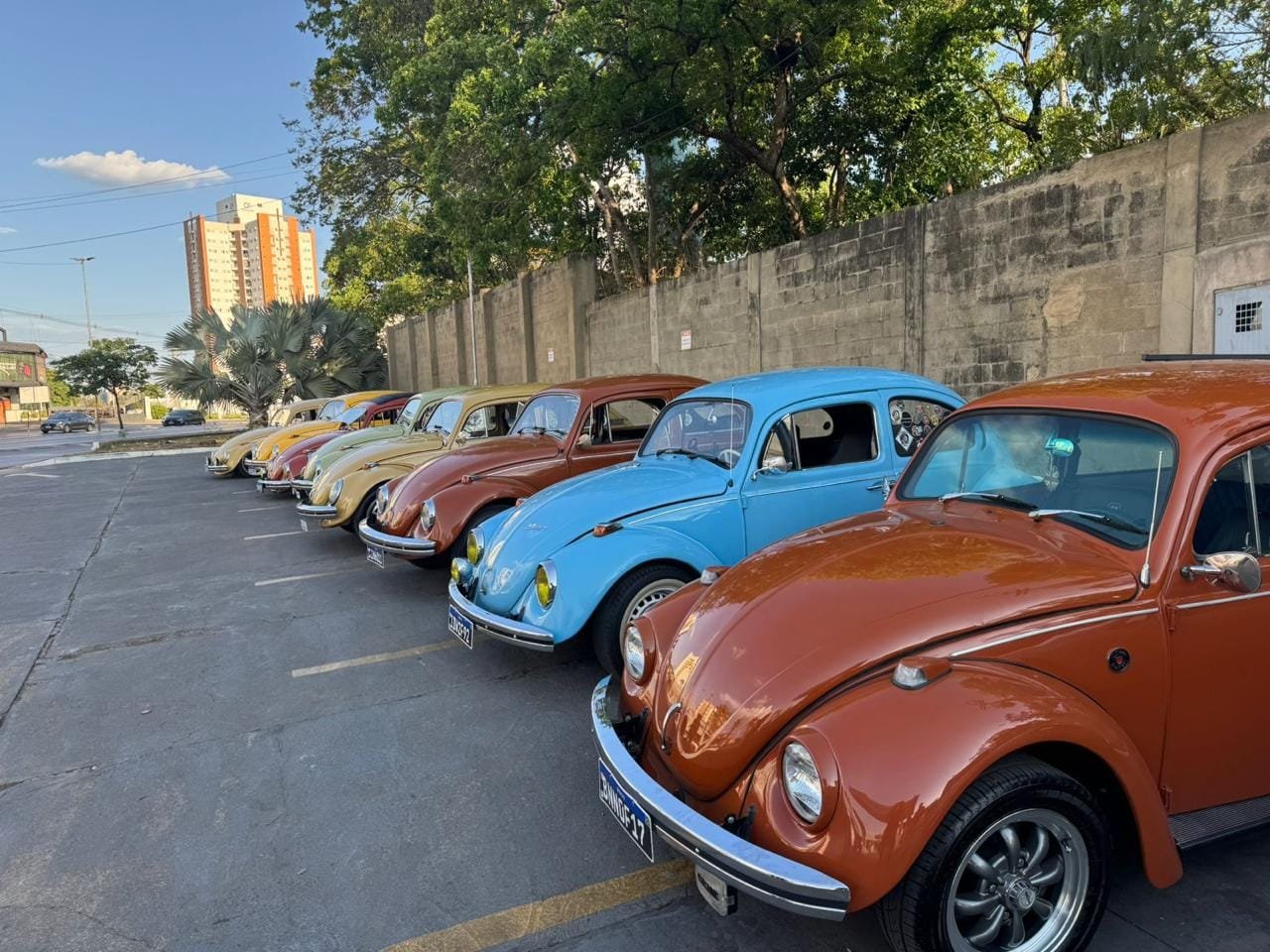 Comper Belvedere realiza Encontro de Carros Antigos                                       e atrações para a família