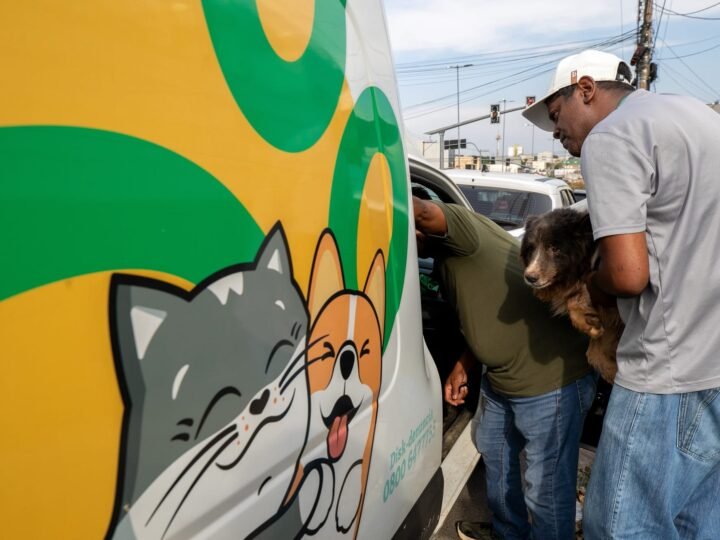 Prefeitura atende denúncia de maus-tratos e resgata animais em situação de emergência em Cuiabá